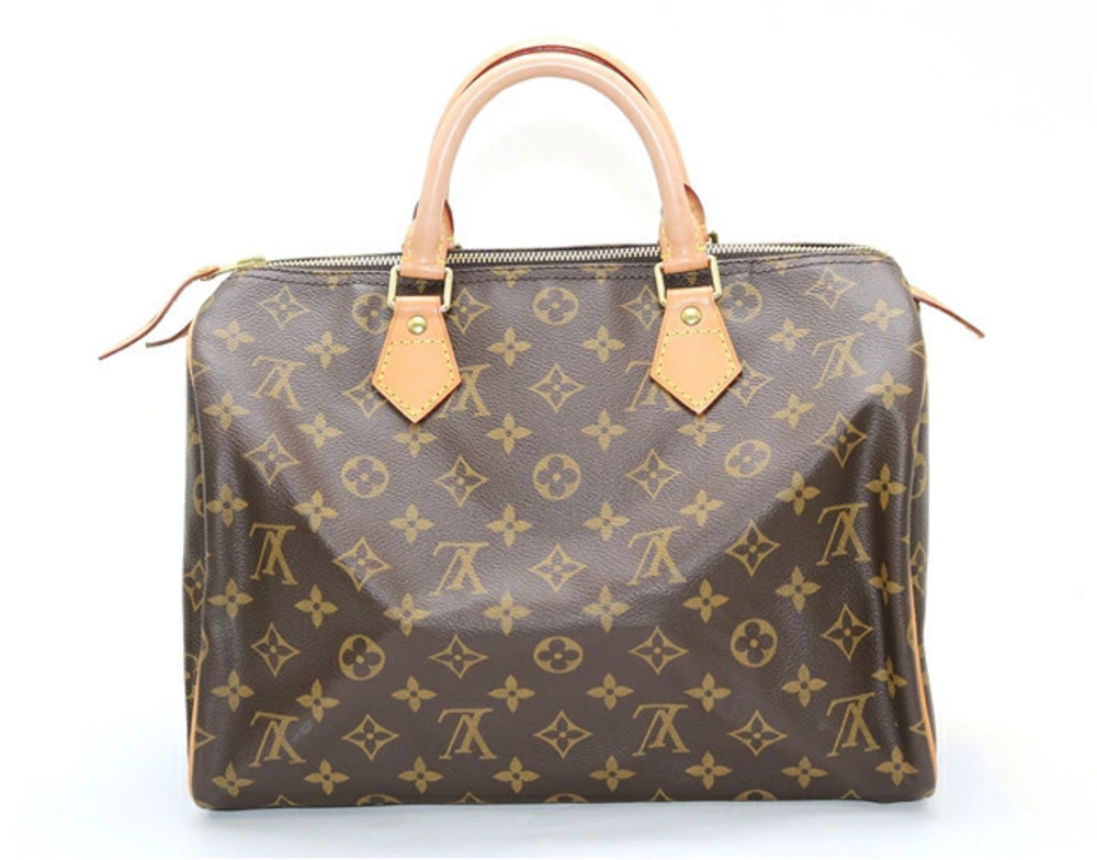 Louis Vuitton Speedy Monogram Handbag Brown
